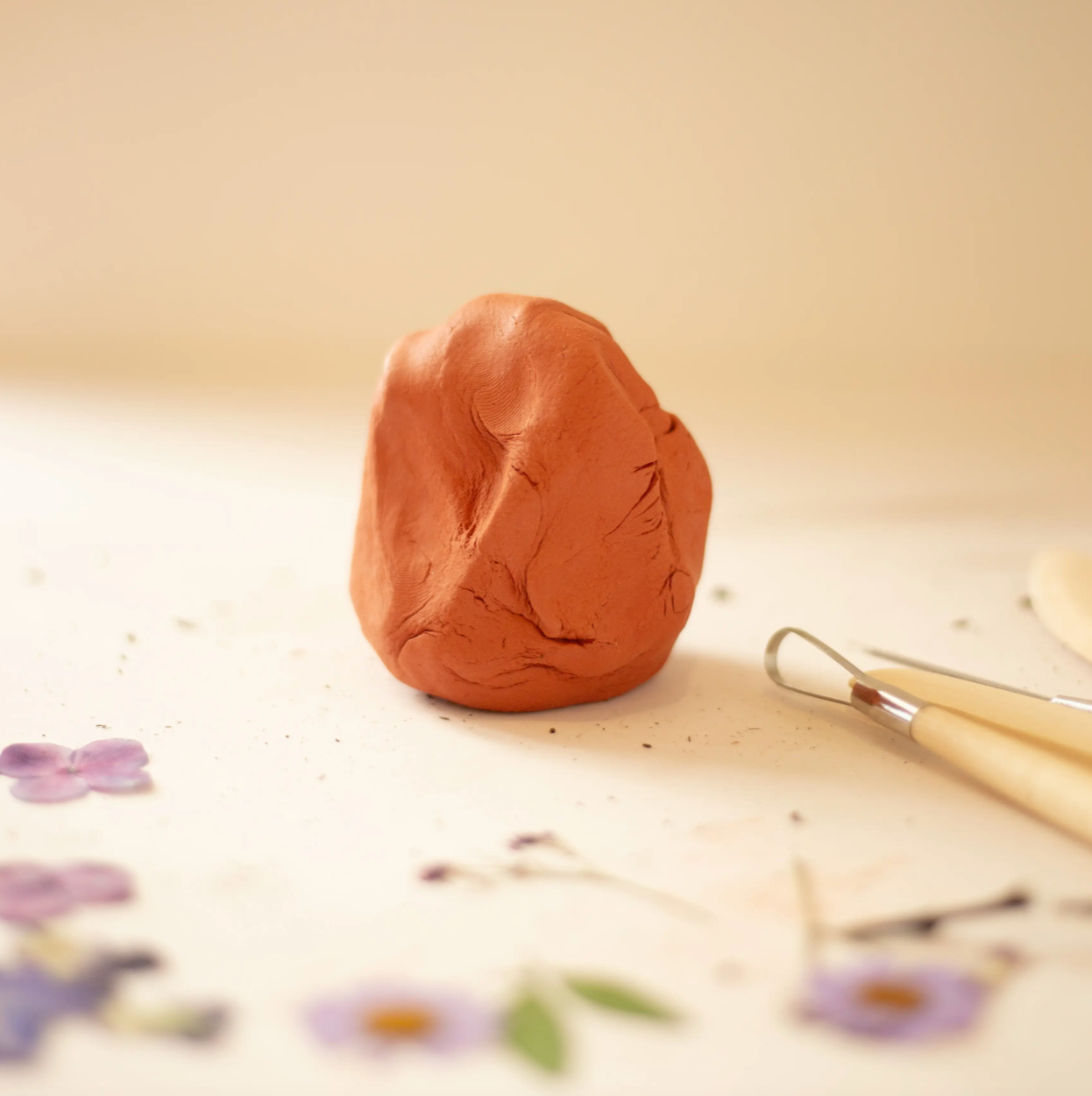 Pottery Clay Art kit