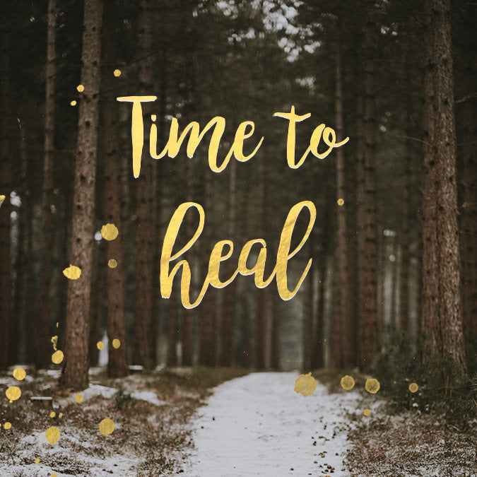 Insight Reading (Donation)